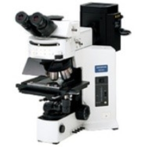 正量荧光万能显微镜