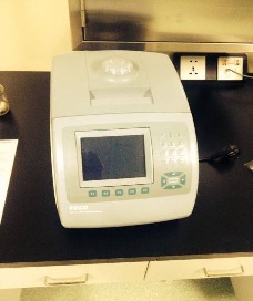 PCR扩增仪