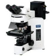 正置荧光万能显微镜